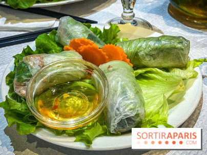 Le Bambou restaurant vietnamien Paris 13e - photos - rouleaux de printemps