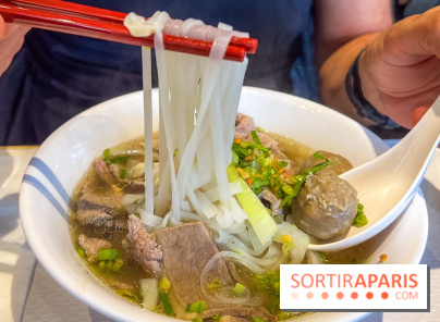 Le Bambou restaurant vietnamien Paris 13e - photos - Pho