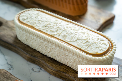 Les Bûches de Noël de Pleincœur par Maxime Frédéric 2025 et ses créations de fêtes - A7C07670