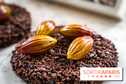 Les Bûches de Noël de Pleincœur par Maxime Frédéric 2025 et ses créations de fêtes - A7C07681