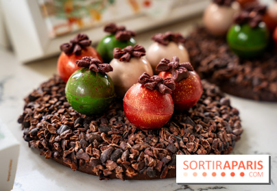 Les Bûches de Noël de Pleincœur par Maxime Frédéric 2025 et ses créations de fêtes - A7C07684