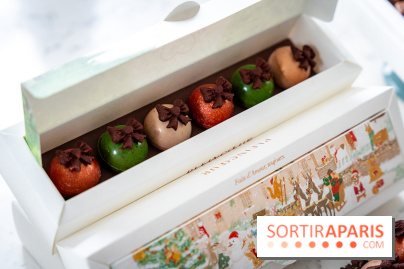 Les Bûches de Noël de Pleincœur par Maxime Frédéric 2025 et ses créations de fêtes - A7C07685