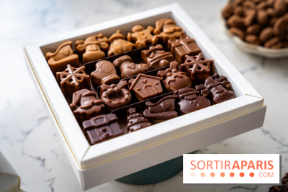 Les Bûches de Noël de Pleincœur par Maxime Frédéric 2025 et ses créations de fêtes - A7C07686