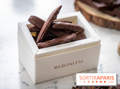 Les Bûches de Noël de Pleincœur par Maxime Frédéric 2025 et ses créations de fêtes - A7C07674