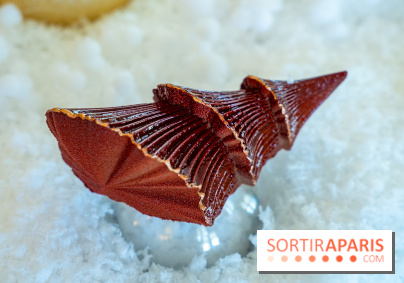 Bûche de Noël du Bristol 2025 signée Maxence Barbot : l'Art du Sommet - photos - A7C08945