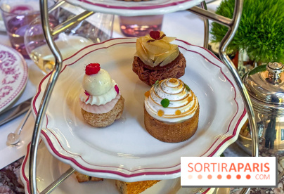 Tea Time Crillon - IMG 9431 2