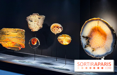 Rêveries de pierres : l'exposition rétrospective gratuite à l'Ecole des Arts Joailliers - IMG 0070