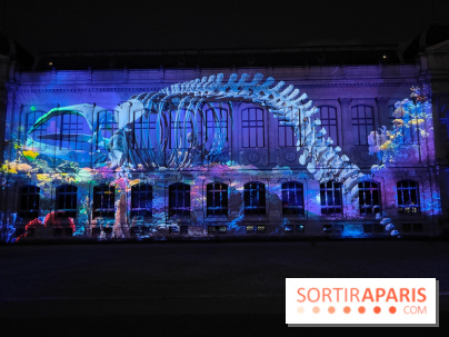 En voie d'illumination : Lumières de la nature : le festival nocturne hivernal du Jardin des Plantes - fotor 1762431492963