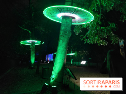 En voie d'illumination : Lumières de la nature : le festival nocturne hivernal du Jardin des Plantes - fotor 1762431293928