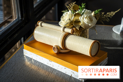 Bûche de Noël du Jules Verne : Voyage Extraordinaire - A7C09595