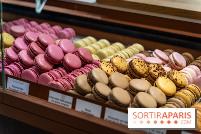 Bûches de Noël du jardin Sucré 2025