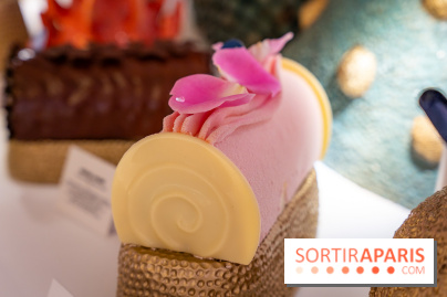 Bûches de Noël et créations de fête 2025 de Pierre Hermé : les Abysses - A7C07836