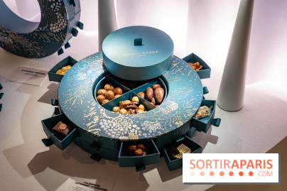 Bûches de Noël et créations de fête 2025 de Pierre Hermé : les Abysses - A7C07841