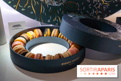 Bûches de Noël et créations de fête 2025 de Pierre Hermé : les Abysses - A7C07842