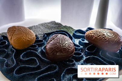 Bûches de Noël et créations de fête 2025 de Pierre Hermé : les Abysses - A7C07844