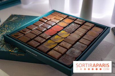 Bûches de Noël et créations de fête 2025 de Pierre Hermé : les Abysses - A7C07845