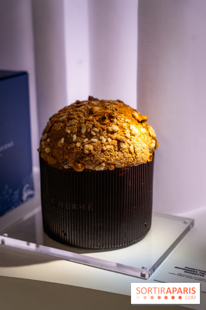 Bûches de Noël et créations de fête 2025 de Pierre Hermé : les Abysses - A7C07859