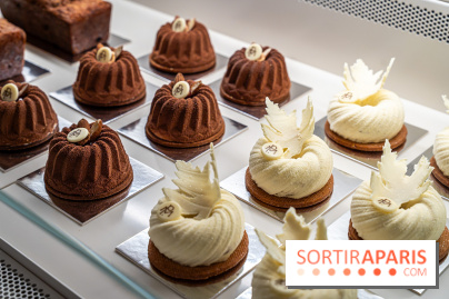 Bûches de Noël de la Pâtisserie Matthieu Pauline Paris 7e - A7C07762