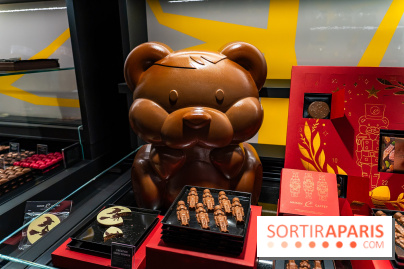 Bûches de Noël de Pascal Caffet 2025 et créations de fête - A7C08594