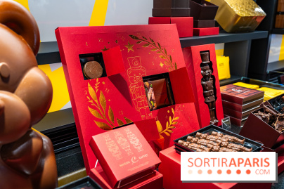 Bûches de Noël de Pascal Caffet 2025 et créations de fête - A7C08596