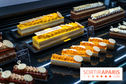 Bûches de Noël de Pascal Caffet 2025 et créations de fête - A7C08605