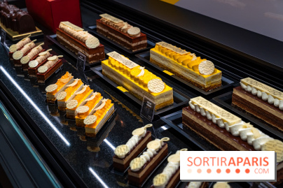 Bûches de Noël de Pascal Caffet 2025 et créations de fête - A7C08607