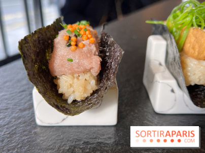 Nobisan - Temaki toro