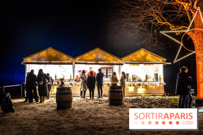Lumières en Seine 2025, les photos du parcours de lumières - A7C00357