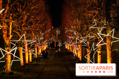 Lumières en Seine 2025, les photos du parcours de lumières - A7C00359