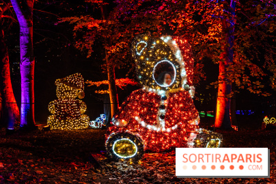Lumières en Seine 2025, les photos du parcours de lumières - A7C00394