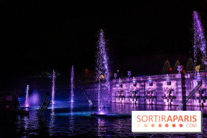 Lumières en Seine 2025, les photos du parcours de lumières - A7C00397