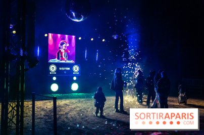 Lumières en Seine 2025, les photos du parcours de lumières - A7C00460