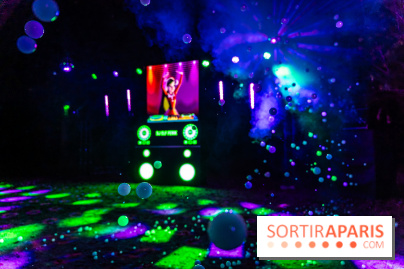 Lumières en Seine 2025, les photos du parcours de lumières - A7C00463