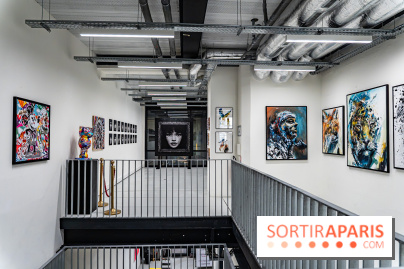 Le Festival Street-art de la Poste du Louvre 2025, les photos - A7C00827