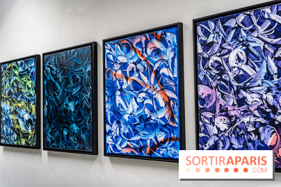 Le Festival Street-art de la Poste du Louvre 2025, les photos - A7C00835