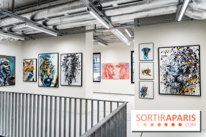 Le Festival Street-art de la Poste du Louvre 2025, les photos - A7C00882