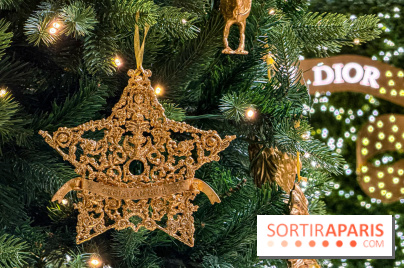 Noël 2025 Dior 30 Montaigne - IMG 1973