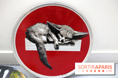 Salon des Bombasphères à Paris, nos photos - Salon des Bombasphères 13 fotor 20251118163134