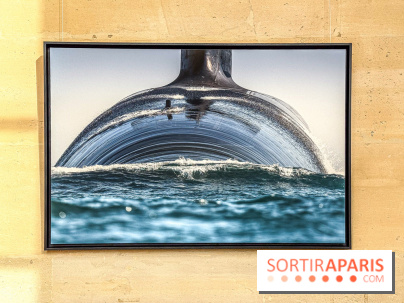 Les Peintres de la Marine : l’exposition dédiée à l’univers maritime à l’Espace Richaud à Versailles - IMG 1865