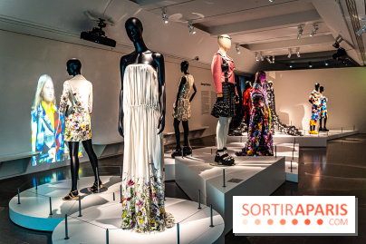 Exposition Manga au Musée Guimet, les photos  - A7C01193