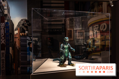 Exposition Manga au Musée Guimet, les photos  - A7C01209