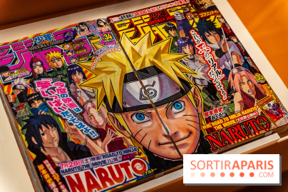 Exposition Manga au Musée Guimet, les photos  - A7C01227