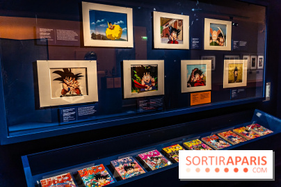 Exposition Manga au Musée Guimet, les photos  - A7C01236