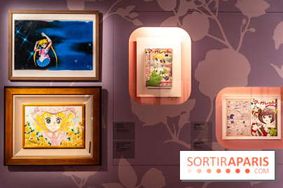 Exposition Manga au Musée Guimet, les photos  - A7C01251