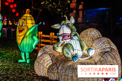L'Odyssée Lumineuse au Parc Floral 2025, les photos