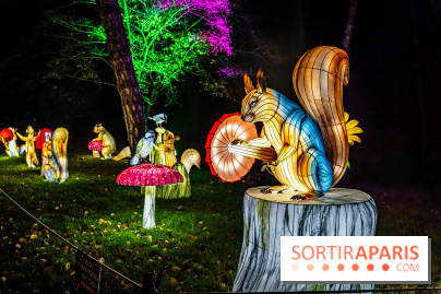 L'Odyssée Lumineuse au Parc Floral 2025, les photos
