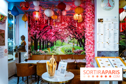 Amour du Vietnam, le restaurant Vietnamien Paris 14e - A7C01635