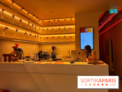 Brume Studio - IMG 1181