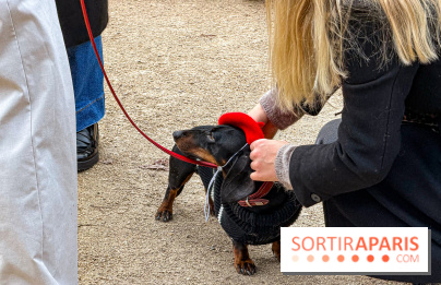 Paris Sausage Walk, la Marche des Teckels 2025