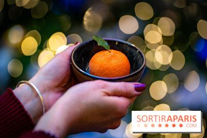 Tea time de Noël du Mandarin Lutetia 2025 par Nicolas Guercio - photos - A7C02102